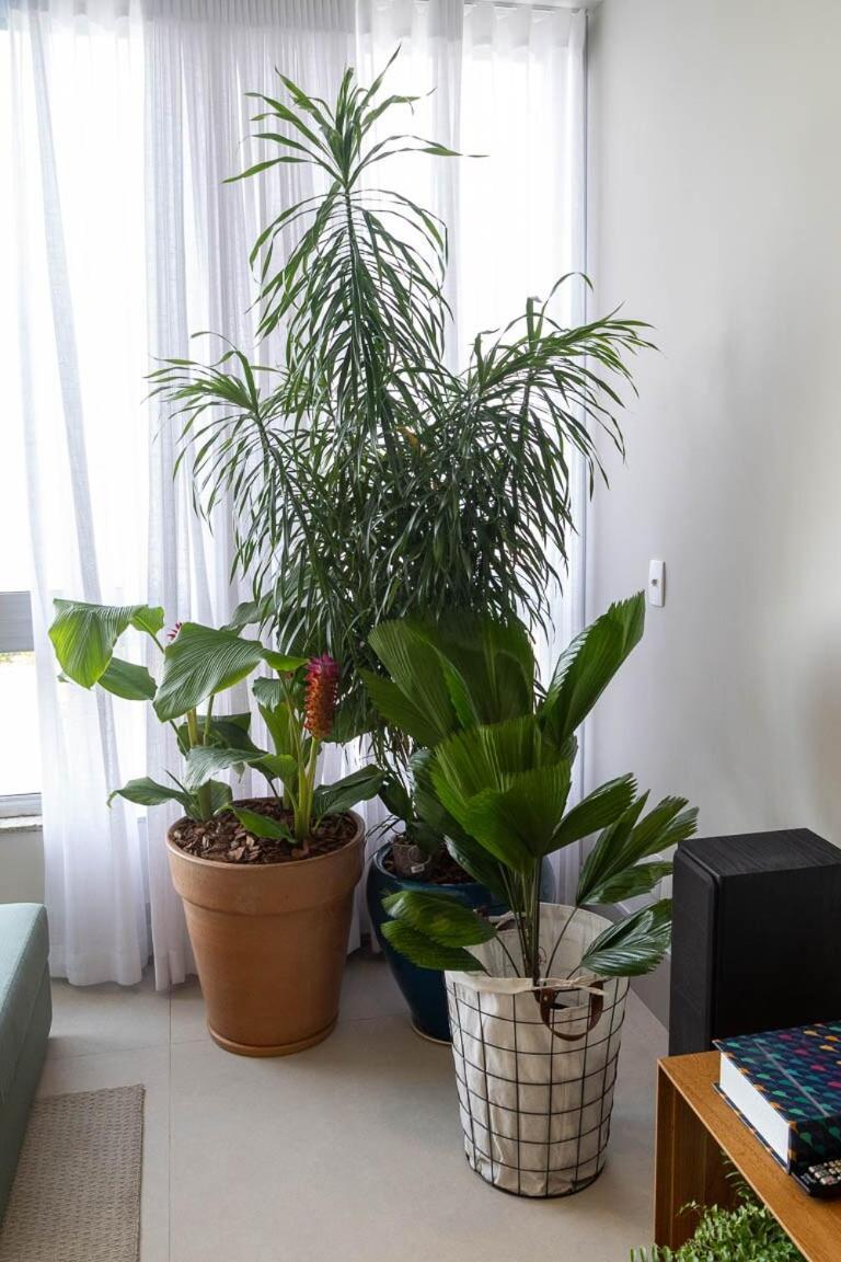 Apartamento Ipanema On The Seafront - Mar De Ipanema Río de Janeiro